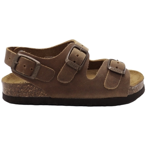 Παπούτσια Παιδί Σανδάλια / Πέδιλα Plakton Corto Kids Sandals - Beige Brown