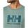 Υφασμάτινα Άνδρας T-shirt με κοντά μανίκια Helly Hansen  Green