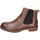 Παπούτσια Γυναίκα Μποτίνια Astorflex EY802 Brown