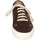 Παπούτσια Γυναίκα Sneakers Astorflex EY832 Brown