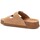 Παπούτσια Γυναίκα Σανδάλια / Πέδιλα Xti 142552 Brown