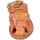 Παπούτσια Γυναίκα Σανδάλια / Πέδιλα Astorflex EY837 Brown