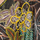 Υφασμάτινα Γυναίκα Παρεό Isla Bonita By Sigris Κάπα Multicolour