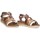 Παπούτσια Γυναίκα Σανδάλια / Πέδιλα Xti 74753 Brown