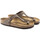 Παπούτσια Άνδρας Σανδάλια / Πέδιλα Birkenstock Gizeh bfbc Brown