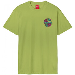 Υφασμάτινα Άνδρας T-shirts & Μπλούζες Santa Cruz Dressen rose crew two Green