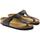 Παπούτσια Γυναίκα Σανδάλια / Πέδιλα Birkenstock Gizeh 43691 Regular - Black Black