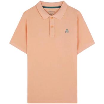 Υφασμάτινα Αγόρι T-shirt με κοντά μανίκια Scalpers  Orange