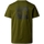 Υφασμάτινα Άνδρας T-shirts & Μπλούζες The North Face Redbox Celebration T-Shirt - Forest Olive Green