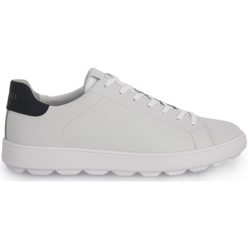 Παπούτσια Άνδρας Sneakers Geox C0899 SPHERICA ECUB Άσπρο