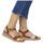 Παπούτσια Γυναίκα Σανδάλια / Πέδιλα Remonte D3067 Brown