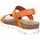 Παπούτσια Γυναίκα Σανδάλια / Πέδιλα Panama Jack Selma Orange