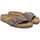 Παπούτσια Άνδρας Σανδάλια / Πέδιλα Birkenstock Catalina bfbc Brown