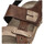 Παπούτσια Άνδρας Σανδάλια / Πέδιλα Arizona 74913 Brown