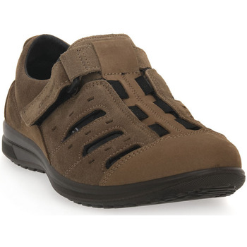 Παπούτσια Άνδρας Sneakers Grisport 1 VESUVIO Brown