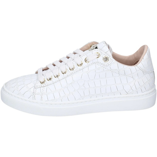 Παπούτσια Γυναίκα Sneakers Stokton EX111 Άσπρο