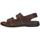 Παπούτσια Άνδρας Σανδάλια / Πέδιλα Arizona 74910 Brown