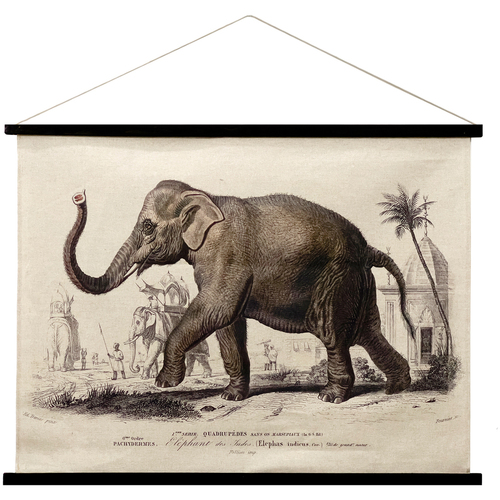 Σπίτι Πίνακες Signes Grimalt Κυλιόμενος Καμβάς Ελέφαντα Kaki