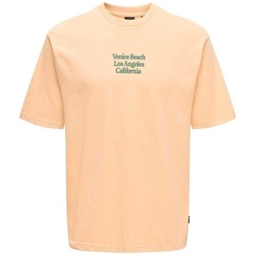 Υφασμάτινα Άνδρας T-shirt με κοντά μανίκια Only & Sons  22028736 KENNY Yellow