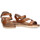 Παπούτσια Γυναίκα Σανδάλια / Πέδιλα Xti 74752 Brown