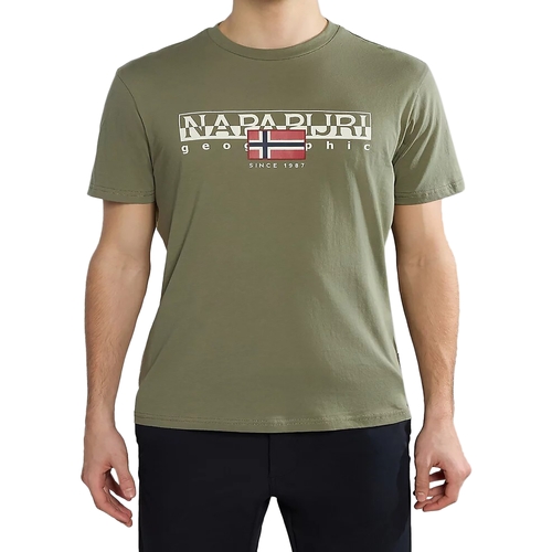 Υφασμάτινα Άνδρας T-shirt με κοντά μανίκια Napapijri 234926 Green