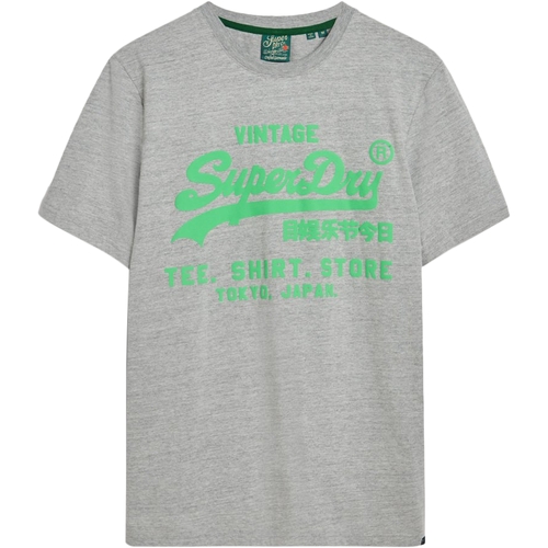 Υφασμάτινα Άνδρας T-shirt με κοντά μανίκια Superdry 235563 Grey