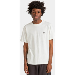 Υφασμάτινα Άνδρας T-shirts & Μπλούζες Element Crail Άσπρο