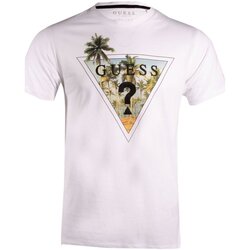 Υφασμάτινα Άνδρας T-shirt με κοντά μανίκια Guess X3YI06 KAK91 Άσπρο