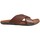 Παπούτσια Άνδρας Σανδάλια / Πέδιλα Kangaroos 515 13 Brown