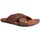 Παπούτσια Άνδρας Σανδάλια / Πέδιλα Kangaroos 515 13 Brown