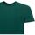 Υφασμάτινα Άνδρας T-shirt με κοντά μανίκια Husky - hs23beutc35co186-vincent Green