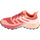 Παπούτσια Γυναίκα Τρέξιμο Inov 8 Trailfly Standard W Ροζ