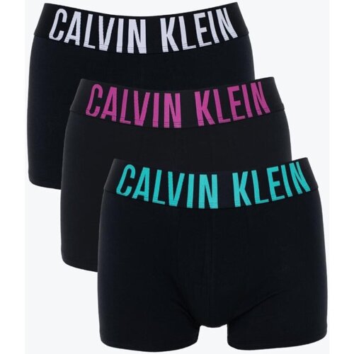 Εσώρουχα Άνδρας Boxer Calvin Klein Jeans 000NB3608A Black
