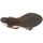 Παπούτσια Γυναίκα Σανδάλια / Πέδιλα Xti 45068 Brown