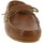 Παπούτσια Άνδρας Boat shoes Himalaya 1311 Brown