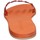 Παπούτσια Γυναίκα Σανδάλια / Πέδιλα Eddy Daniele AW449 Orange